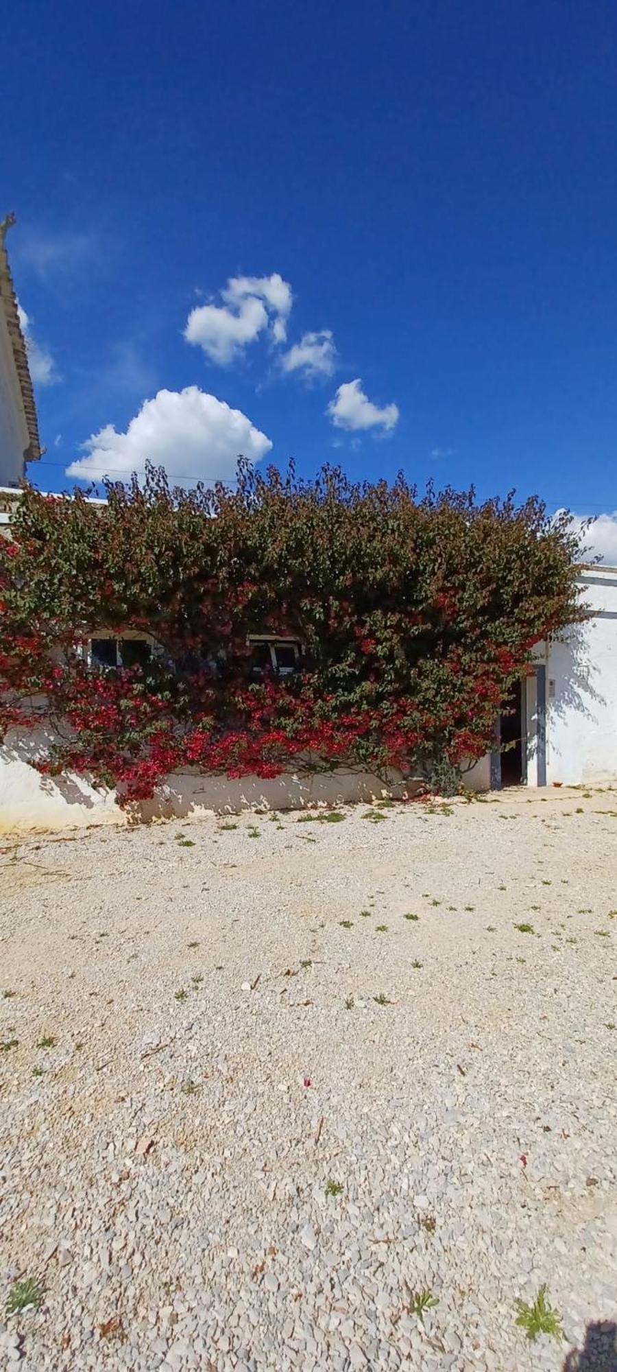 Quinta De Loubite - Lagoa, Algarve, Portugal Lagoa  Εξωτερικό φωτογραφία