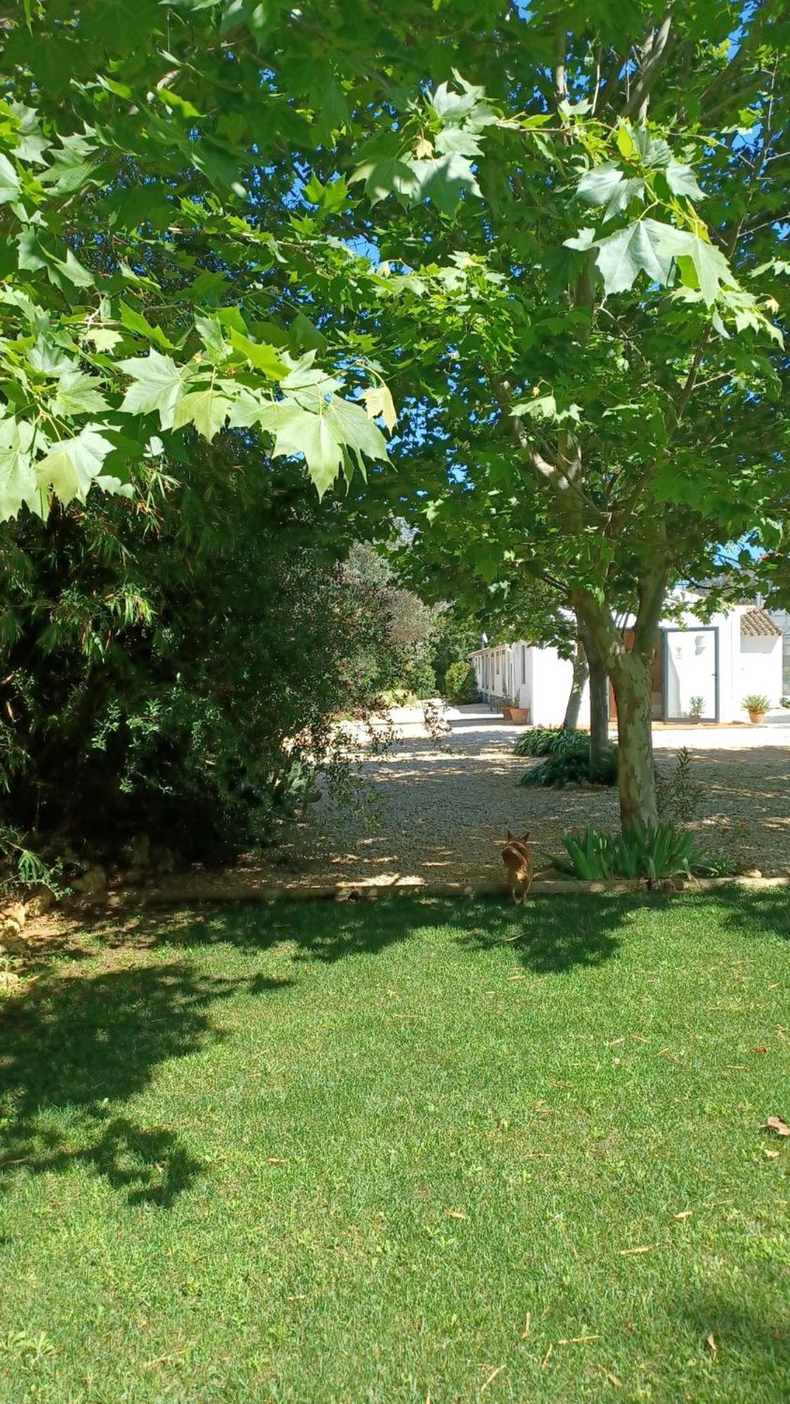 Quinta De Loubite - Lagoa, Algarve, Portugal Lagoa  Εξωτερικό φωτογραφία