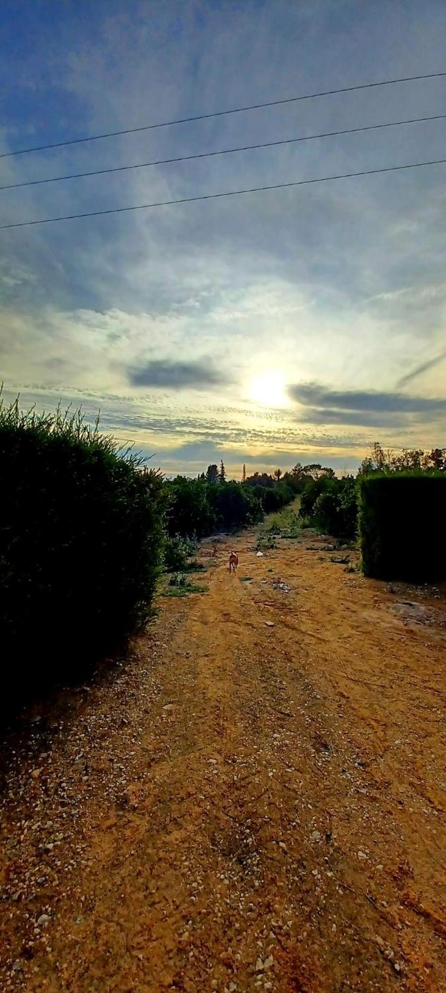 Quinta De Loubite - Lagoa, Algarve, Portugal Lagoa  Εξωτερικό φωτογραφία