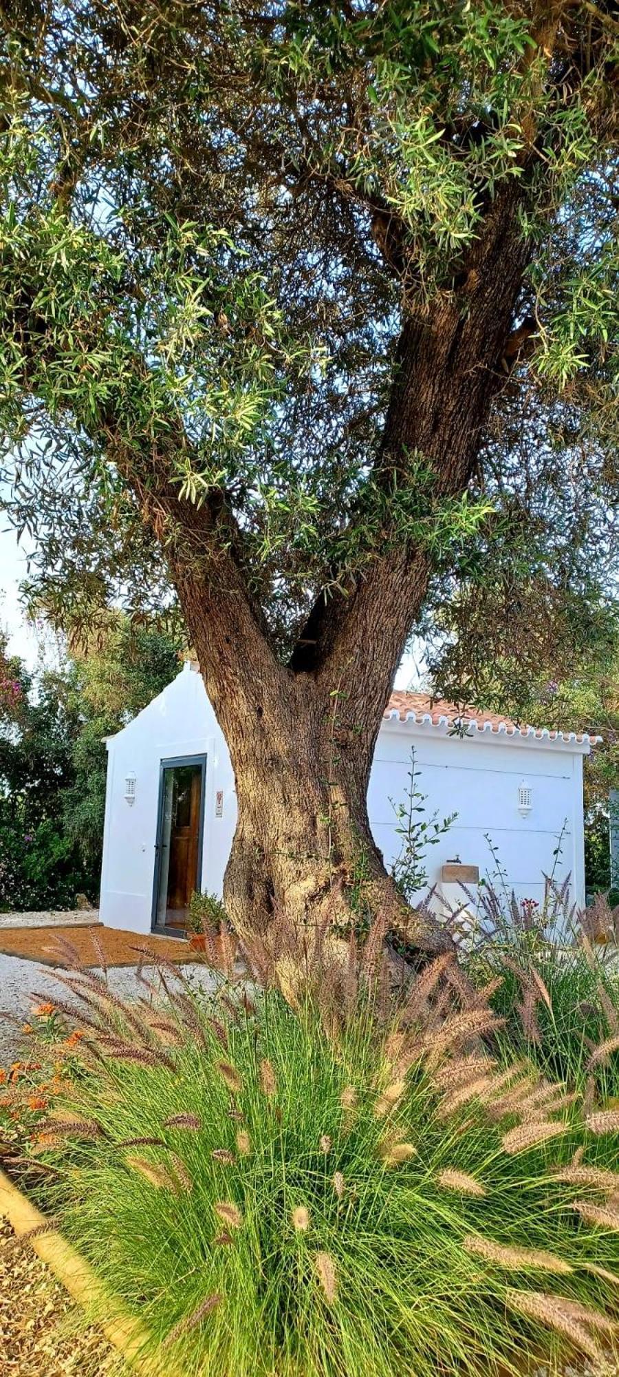 Quinta De Loubite - Lagoa, Algarve, Portugal Lagoa  Εξωτερικό φωτογραφία